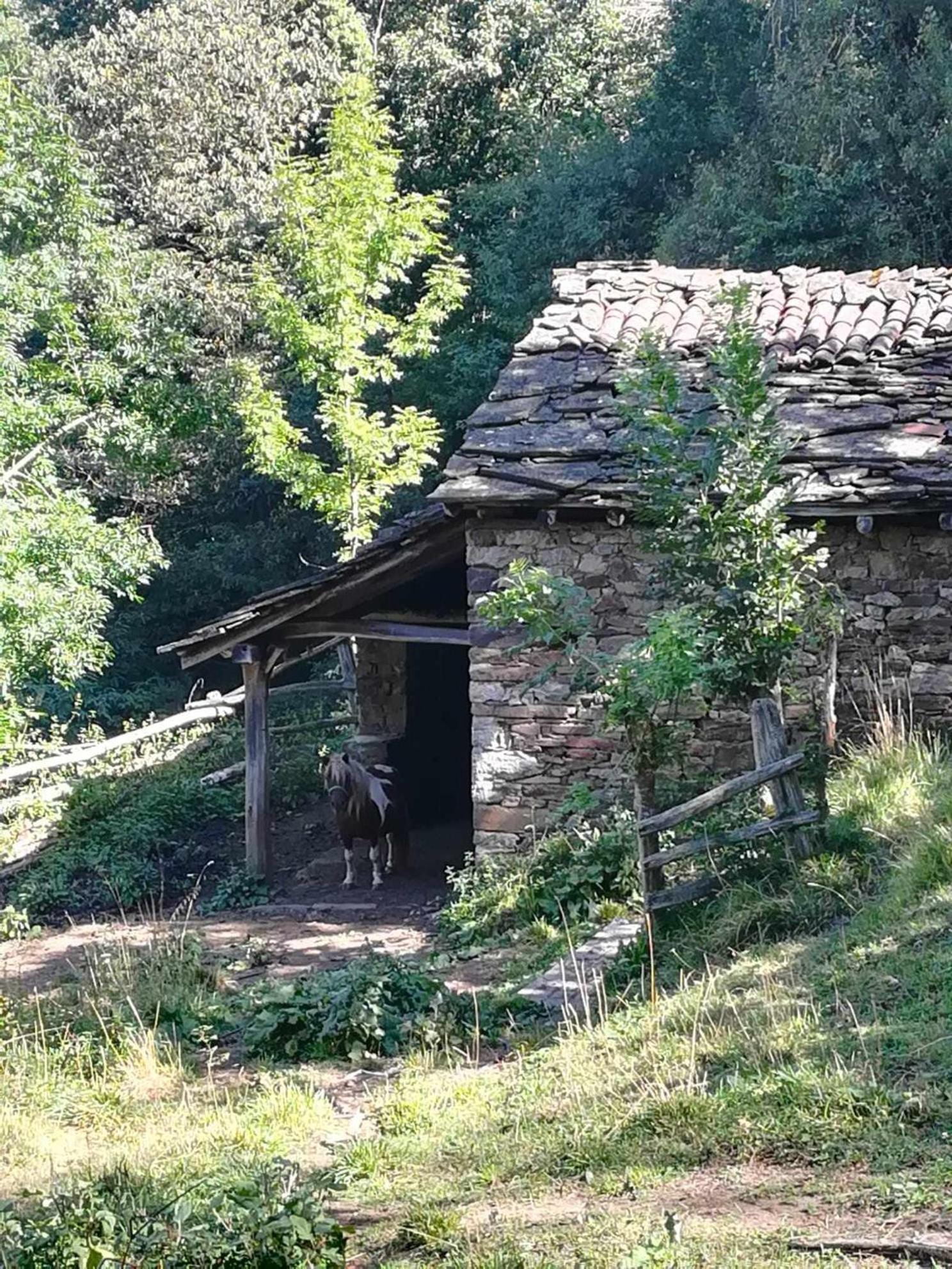 Encanto Asturiano Aller Exterior photo
